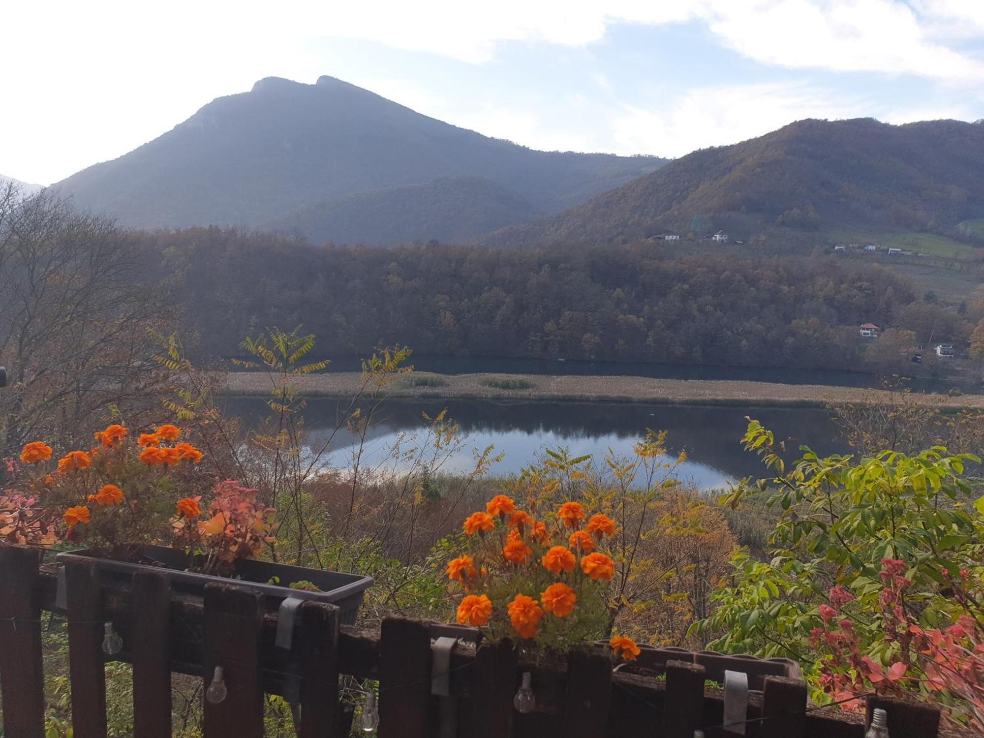 Vila Lena Meduvrsje ภายนอก รูปภาพ